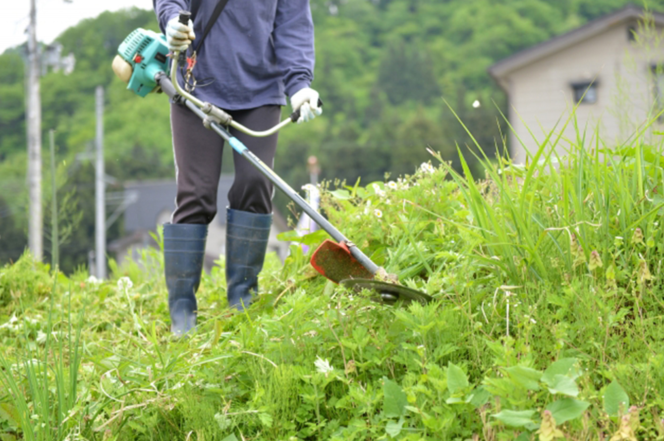 草刈り